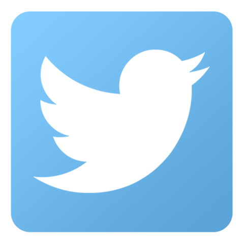 Twitter Icon (Bird)